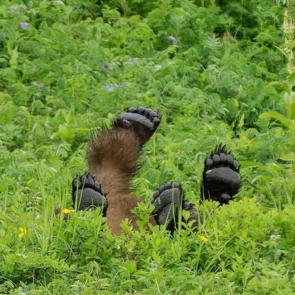 cute news tier bär

https://ch.pinterest.com/pin/13581236382134320/