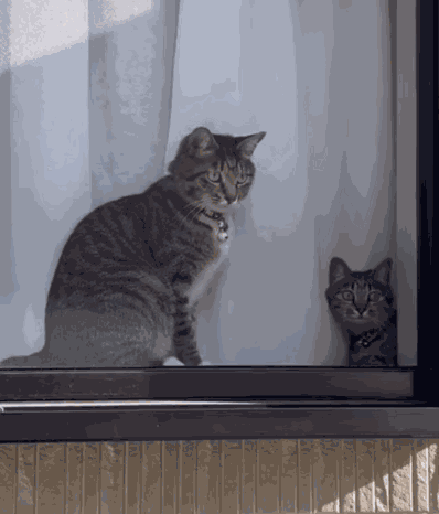 Animiertes GIF