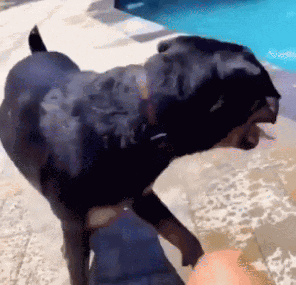 Animiertes GIF