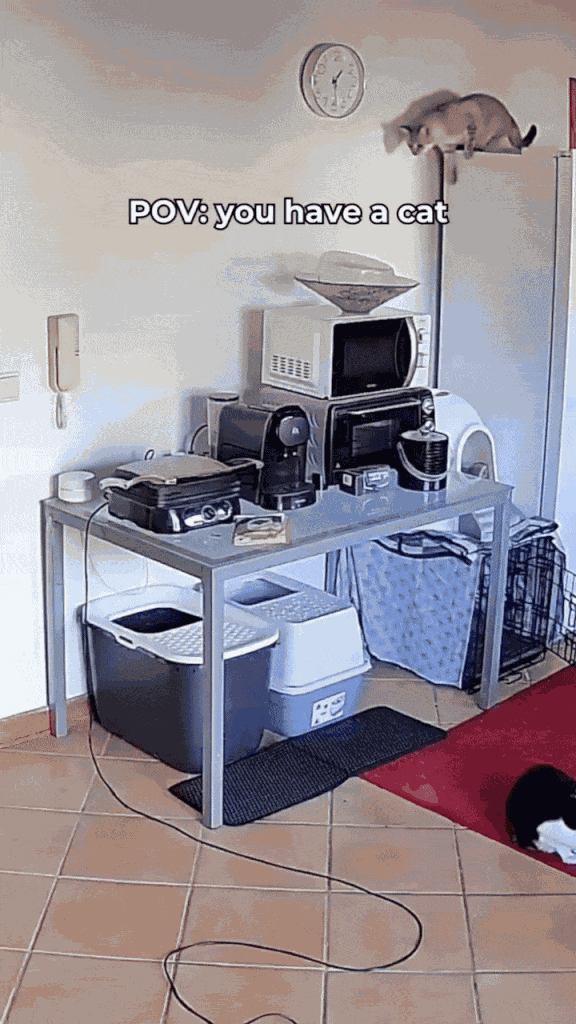 Animiertes GIF