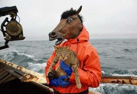 Es ist Zeit für deine 5 Minuten am Tag: PICDUMP!
Wie wärs eigentlich mal mit einer Reihe &quot;unexplainable&quot;?
