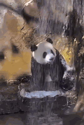Animiertes GIF